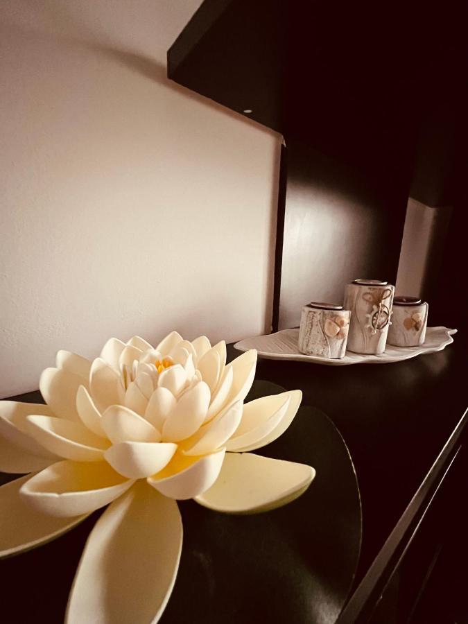 Alice Apartment Arad Dış mekan fotoğraf